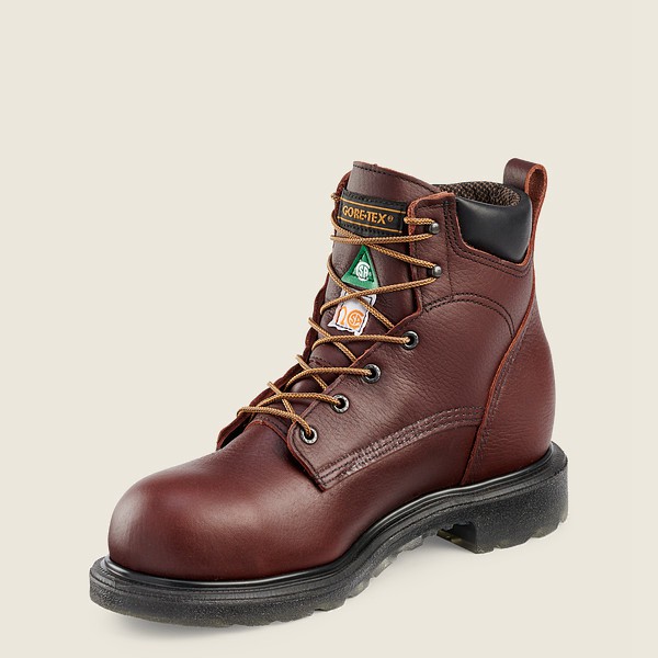 Mens Red Wing Supersole® 2.0 - 6-inch Waterproof Csa Toe - Safety Boots Burgundy - HFJ516793